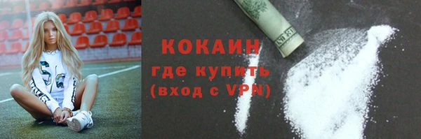 бошки Белокуриха