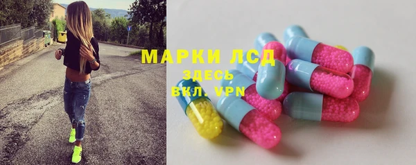 бошки Белокуриха