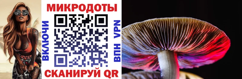 OMG зеркало  Новоаннинский  Псилоцибиновые грибы Psilocybine cubensis 